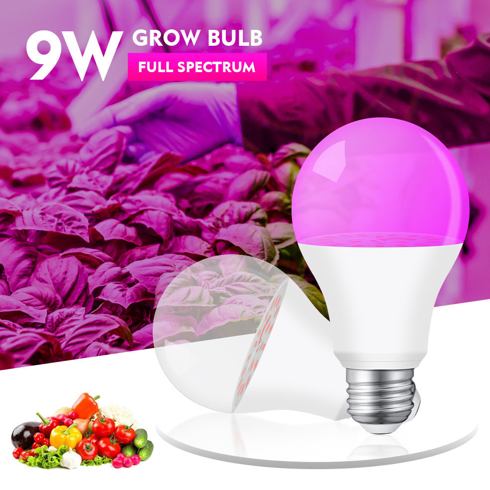 Horticultural Lighting